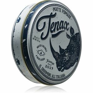 Tenax Matte Pomade Medium Hold Shine Pomade pomáda na vlasy pro muže 125 ml obraz