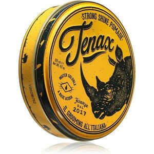 Tenax Strong Hold Pomade pomáda na vlasy pro muže 125 ml obraz