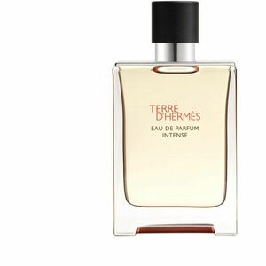 HERMÈS Terre d’Hermès Intense parfémovaná voda intense pro muže 100 ml obraz