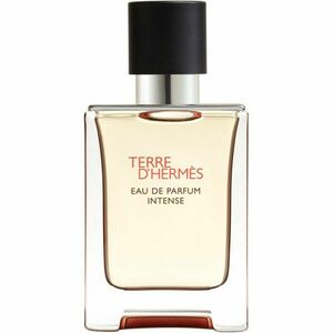 HERMÈS Terre d’Hermès parfémovaná voda intense pro muže 50 ml obraz