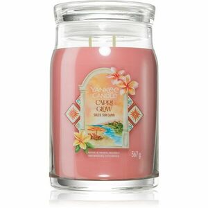 Yankee Candle Capri Glow vonná svíčka 567 g obraz