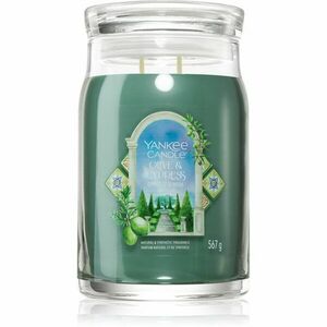 Yankee Candle Olive & Cypress vonná svíčka 567 g obraz