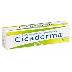 BOIRON Cicaderma mast 30 g obraz