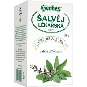 HERBEX Šalvěj lékařská 50 g obraz