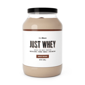 GYMBEAM Just Whey Borůvkový jogurt 2000 g obraz