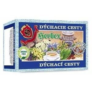 HERBEX Dýchacie cesty bylinný čaj 20 x 3 g obraz