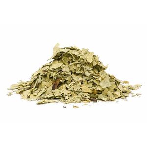 Senna list (Cassia angustifolia) - bylina, 50g obraz