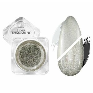 NANI lešticí pigment Silver Champagne obraz