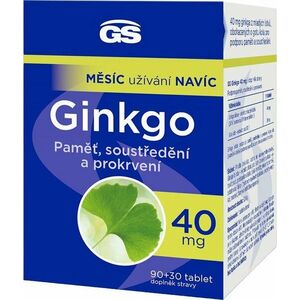 GS Ginkgo 40mg 90 + 30 tablet obraz