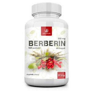 ALLNATURE Berberin Extrakt 98% 500 mg 60 kapslí obraz