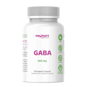 VEGMART GABA 500 mg 120 kapslí obraz