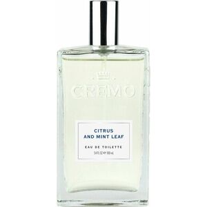 CREMO for men cologne Citrus & Mint Leaf Eau de Toilette 100 ml obraz