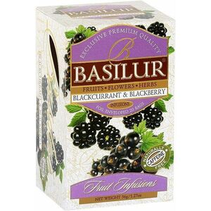 BASILUR Fruit Blackcurrant & Blackberry přebal 20 x 1.8 g obraz