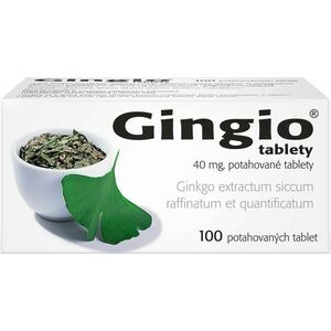 GINGIO 40 mg, 100 tablet obraz