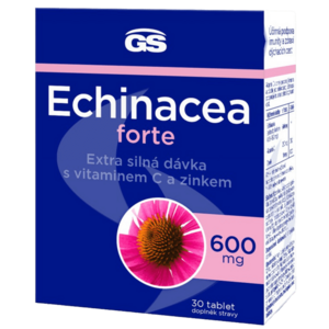Echinacea obraz