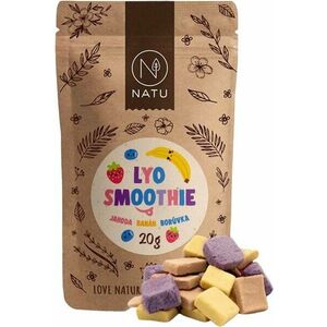 NATU Lyo smoothie mix 20 g obraz