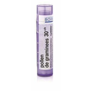 Pollen de Graminees obraz