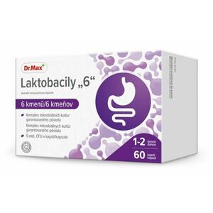Dr. Max Laktobacily 6 60 kapslí obraz