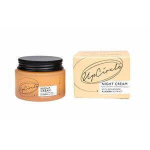 UpCircle Night Cream with Blueberry Extract noční krém 55 ml obraz