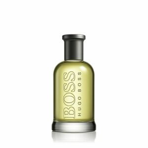 Hugo Boss Boss Bottled EDT 30 ml M obraz