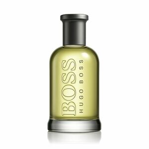 Hugo Boss Boss Bottled toaletní voda pro muže 100 ml obraz