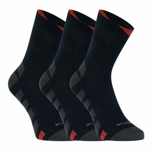 VoXX 3PACK ponožky modré (Gastl) L obraz