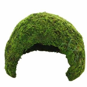 Hobby Jungle Cave 2 skrýš pro terarijní zvířata 17 x 17 x 12 cm obraz