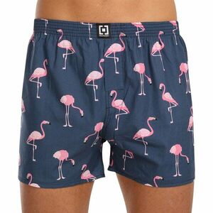Horsefeathers Pánské trenky Manny Flamingos (AM167I) XL obraz