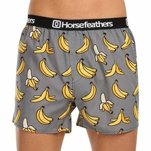 Horsefeathers Pánské trenky Frazier Bananas (AM166I) XL obraz