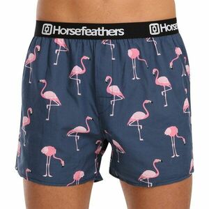 Horsefeathers Pánské trenky Frazier Flamingos (AM166J) M obraz