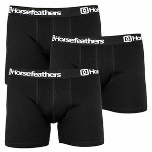 Horsefeathers 3PACK pánské boxerky černé (AM067A) L obraz