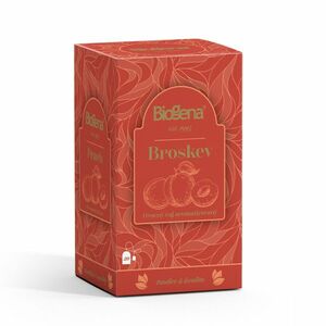 Biogena Traditional Broskev porcovaný ovocný čaj 20x2 g obraz