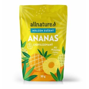 Allnature Ananas sušený mrazem kousky 30 g obraz