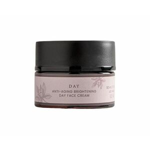 Officina Fitobiologica Day Cream rozjasňující krém proti vráskám 50 ml obraz