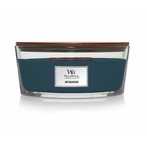 Wood Wick Vonná svíčka Antiquarium 454 g obraz