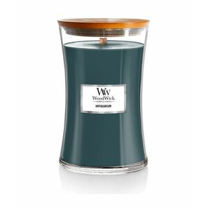 Wood Wick Vonná svíčka Antiquarium 609 g obraz