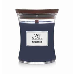 Wood Wick Vonná svíčka Antiquarium 275 g obraz