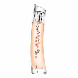 KENZO - Flower Ikebana Mimosa by KENZO - Parfémová voda obraz