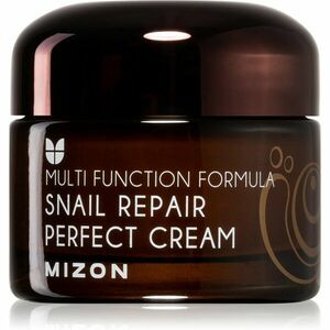Mizon Multi Function Formula Snail pleťový krém s filtrátem hlemýždího sekretu 60% 50 ml obraz