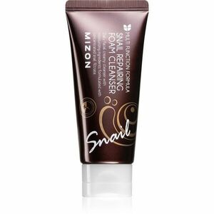 Mizon Multi Function Formula Snail čisticí pěna 60 ml obraz