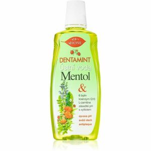 Bione Cosmetics Dentamint Mentol ústní voda 500 ml obraz