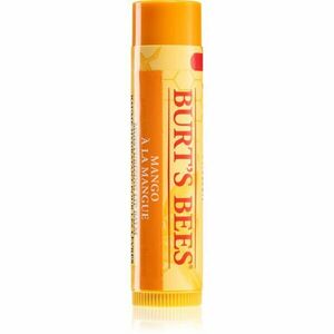 Burt’s Bees Lip Care vyživující balzám na rty (with Mango Butter) 4, 25 g obraz