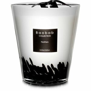 Baobab Collection Feathers vonná svíčka 16 cm obraz