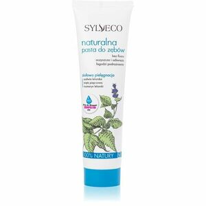 Sylveco Dental Care přírodní zubní pasta bez fluoridu příchuť Herbal 100 g obraz