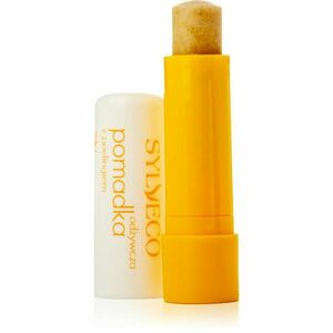 Sylveco Lip Care balzám na rty s peelingovým efektem 4, 6 g obraz