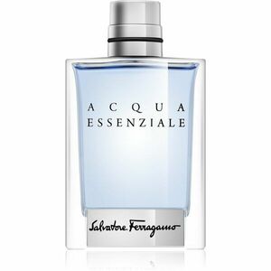 Ferragamo Acqua Essenziale toaletní voda pro muže 100 ml obraz
