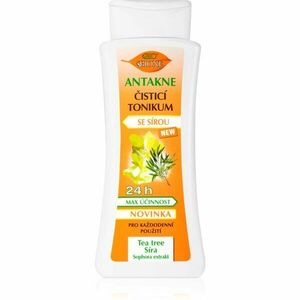 Bione Cosmetics Antakne čisticí pleťové tonikum se sírou 255 ml obraz