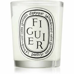 Diptyque Figuier vonná svíčka 190 g obraz