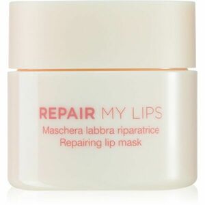 Diego dalla Palma REPAIR MY LIPS hydratační maska na rty 25 ml obraz