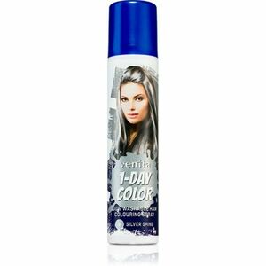Venita 1-Day Color barevný sprej na vlasy odstín No. 6 - Silver Shine 50 ml obraz